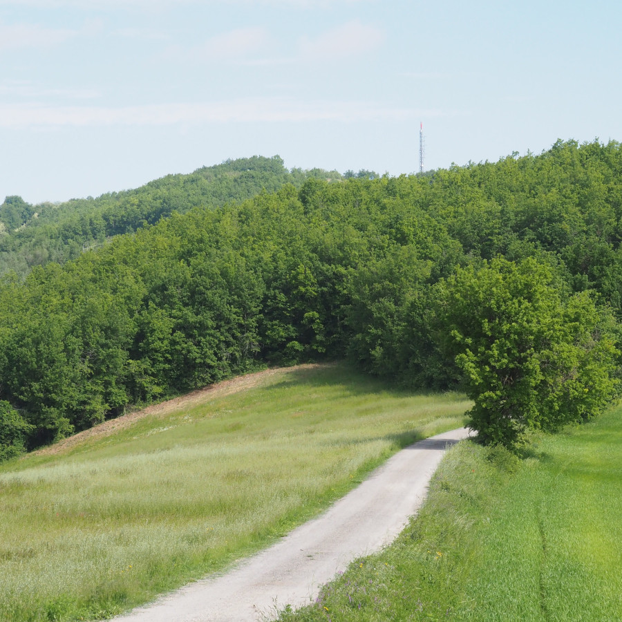 Strada panoramica sul Monte Boffalora