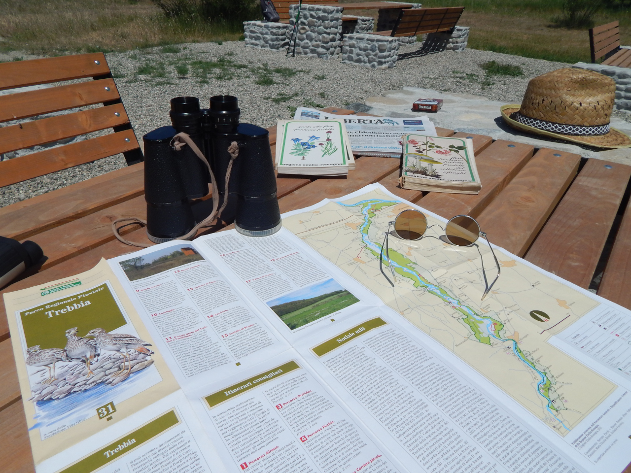 Il B&B La Vecchia Scuola di Rivalta è adatto per la visita ai sentieri naturalistici nel Parco Fluviale del Trebbia a 15 km dalla cità di Piacenza