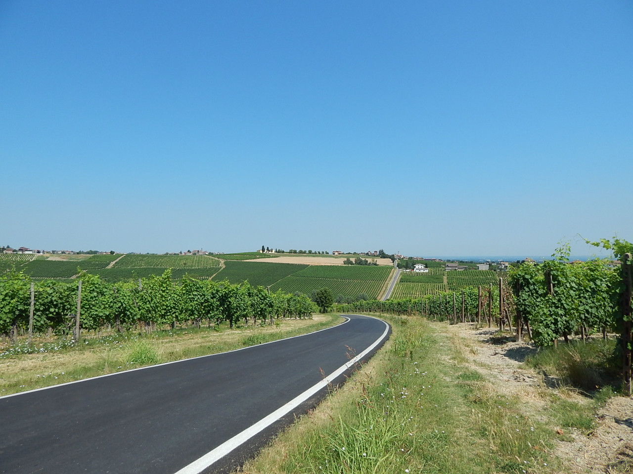 Vigneti in Val Tidone